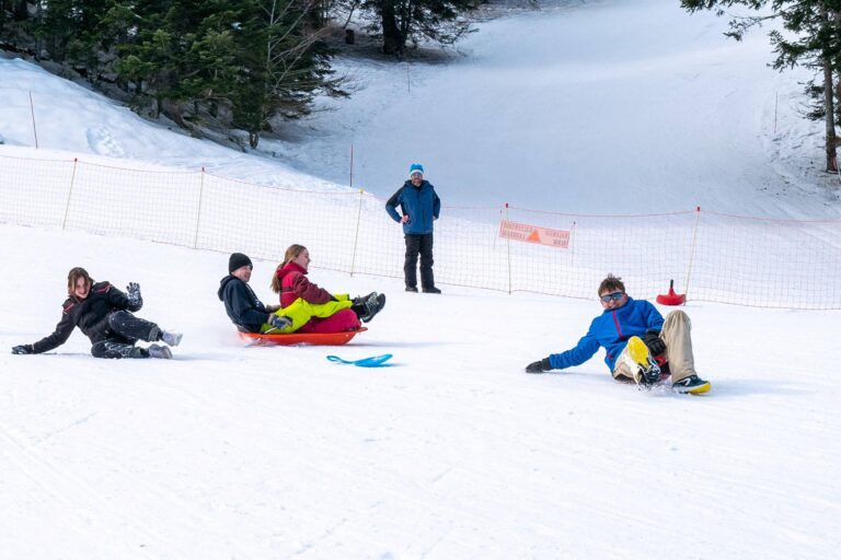 Luge